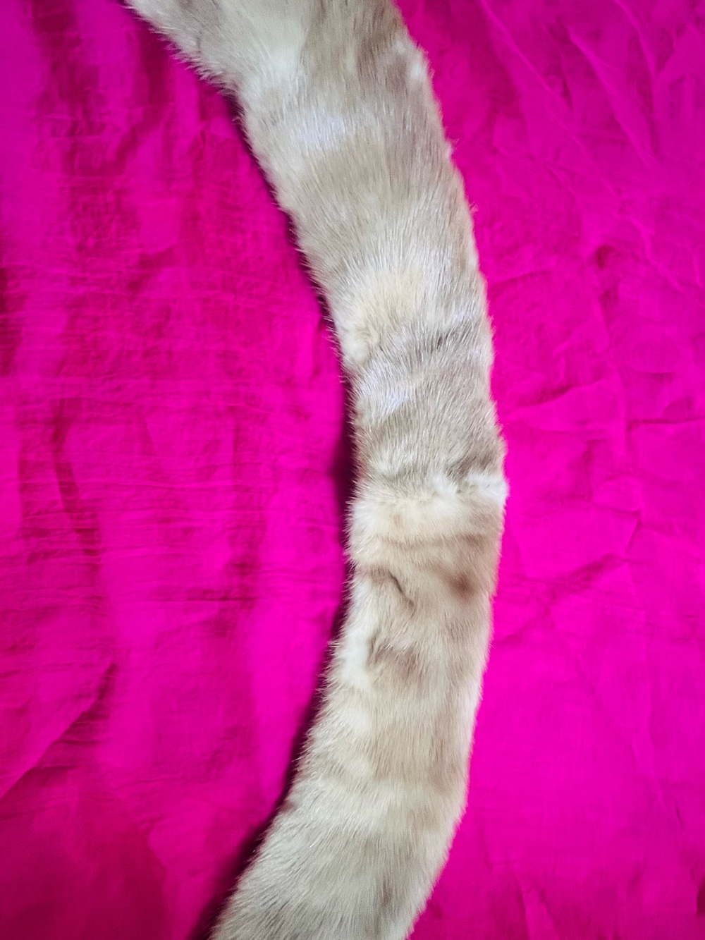 Beige Fur Stole - Soft Neutral Fur Scarf